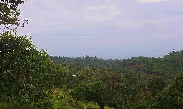 sirao-peak-brgy-malubog-cebu-city