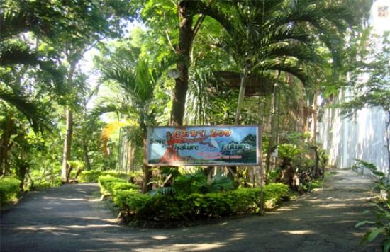 cebu-zoo