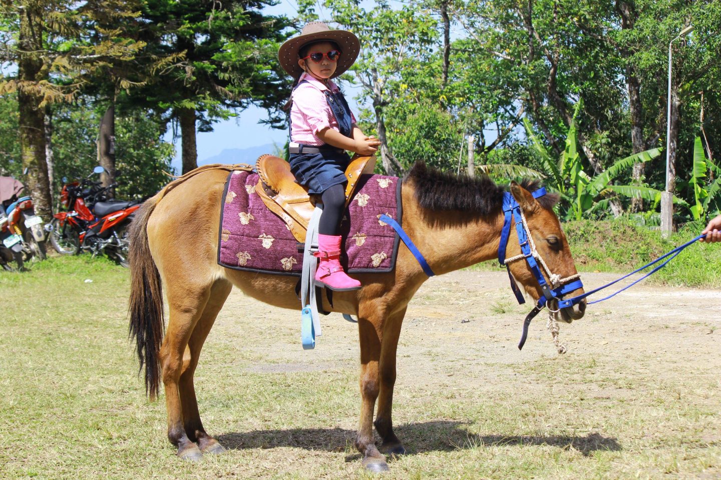 horseback riding at baguio de cebu