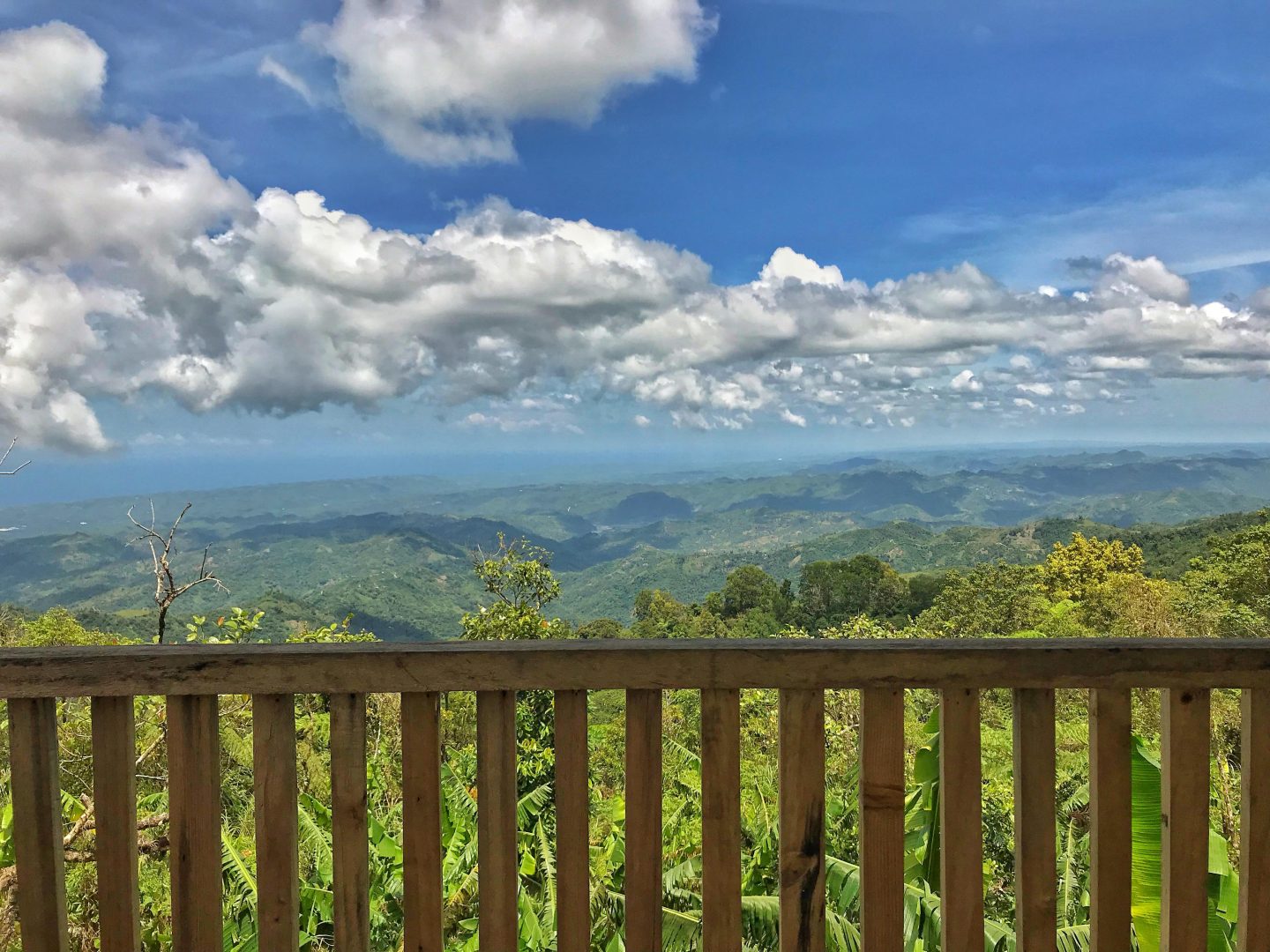 view from baguio de cebu