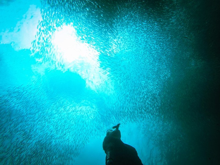 Badiot Diving | Photo by Dennis Thereseus