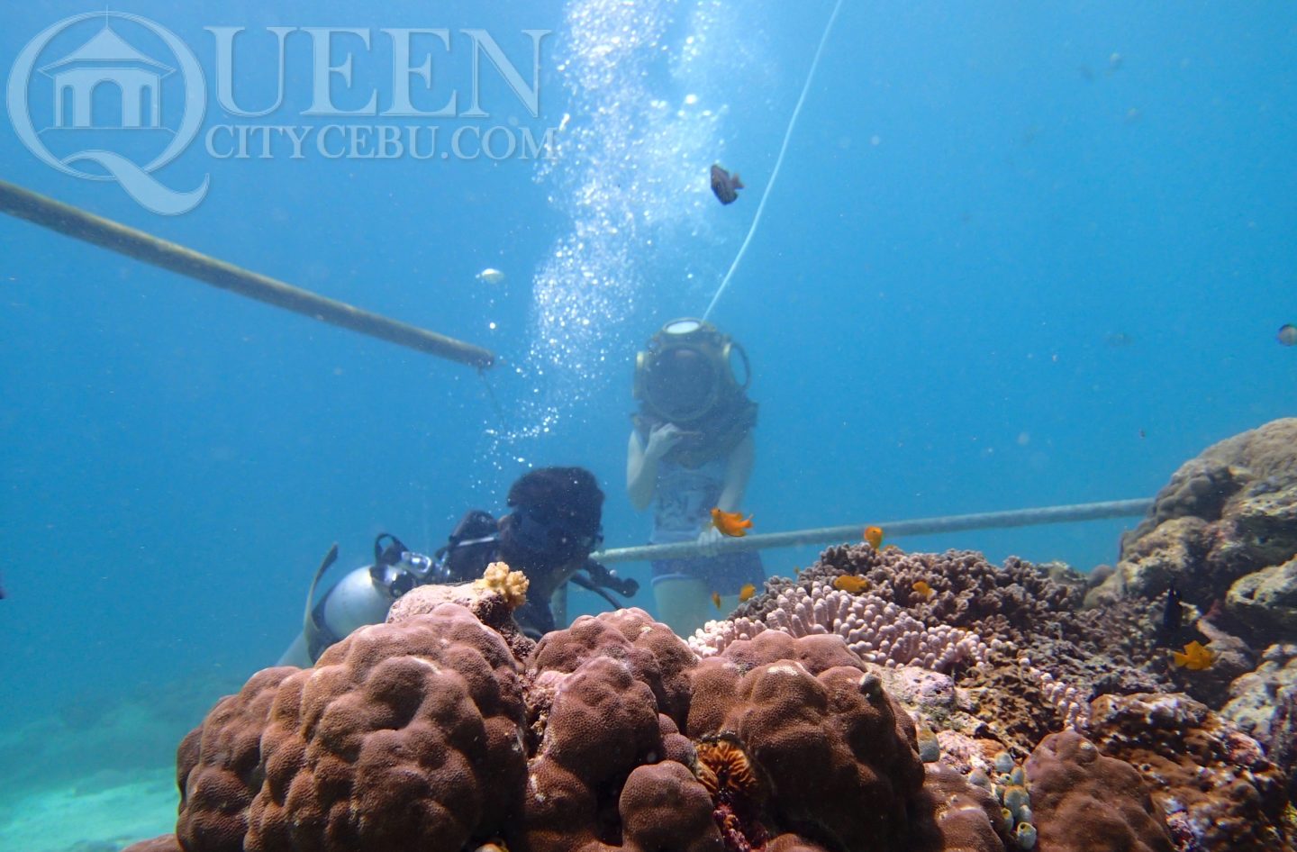 shangrila mactan helmet diving