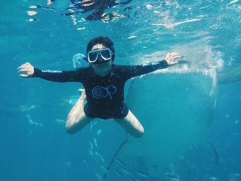 Oslob swimming with the whale sharks | Photo by Allana V. Limpangug