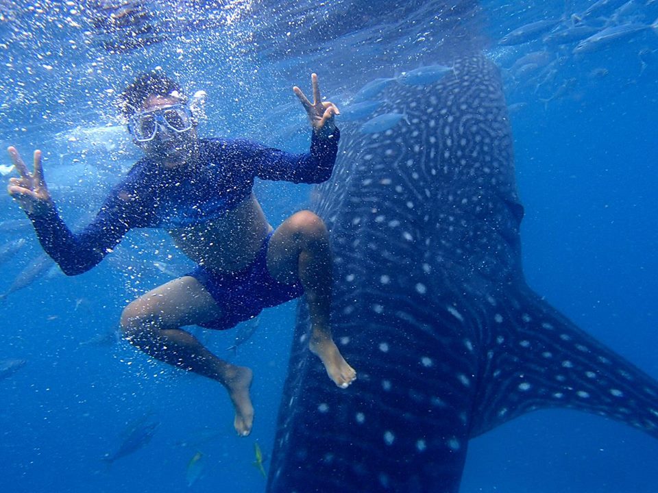Oslob swimming with the whale sharks | Photo By: Carixa Marie Jordan Coming