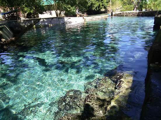 Guiwanon Spring ,Tabogon | Photo by Marichris Anasco