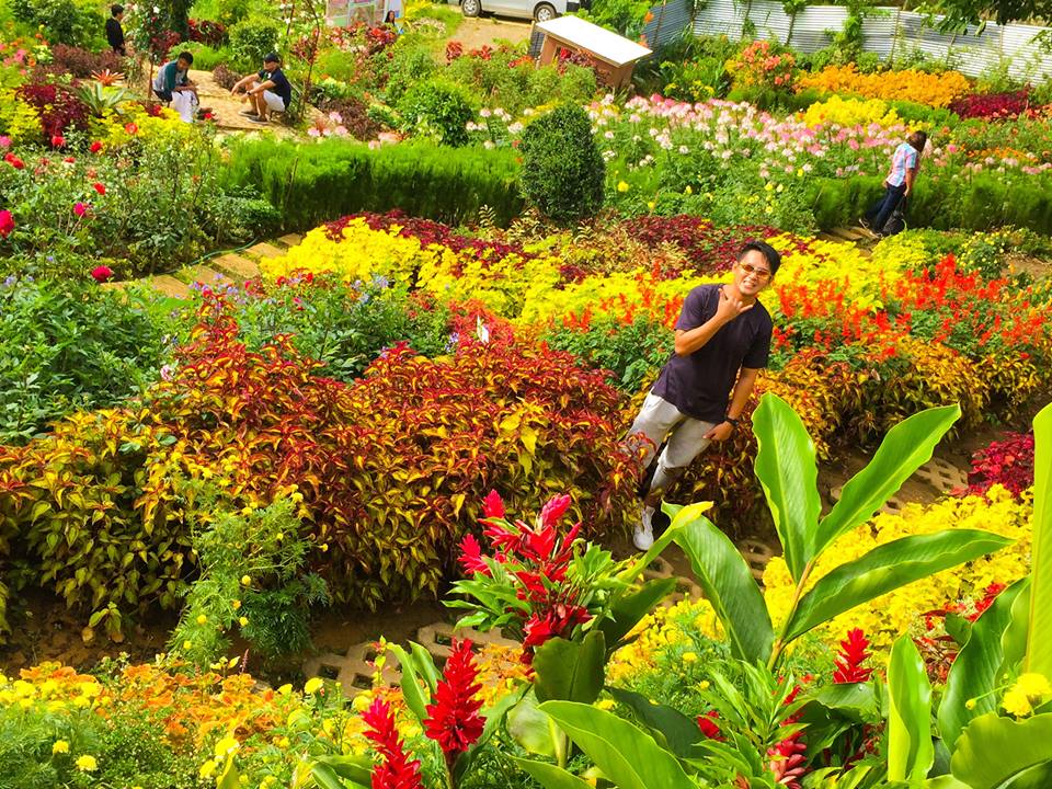 Buwakan Ni Alejandra, Balamban | Photo by Enyhw Choi Syncronize 