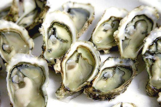 talaba