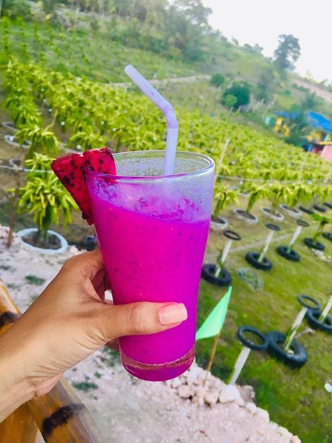 Dragonfruit Shake | Photo by LaVita È Bella Noel 