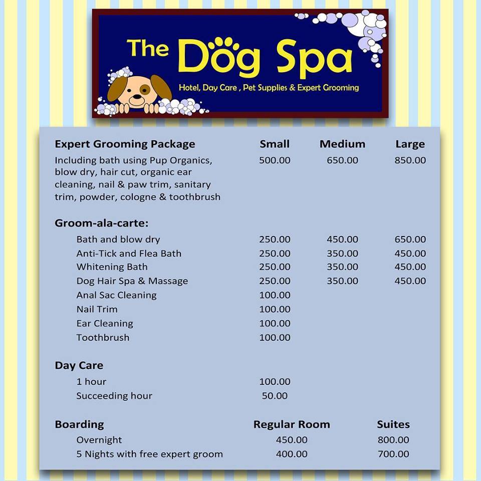 Photo from The Dog Spa & Hotel