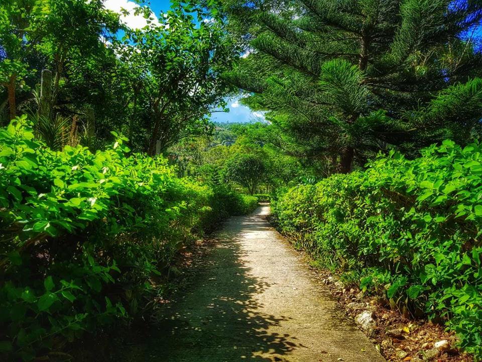 Photo from Adlawon Vacation Farm