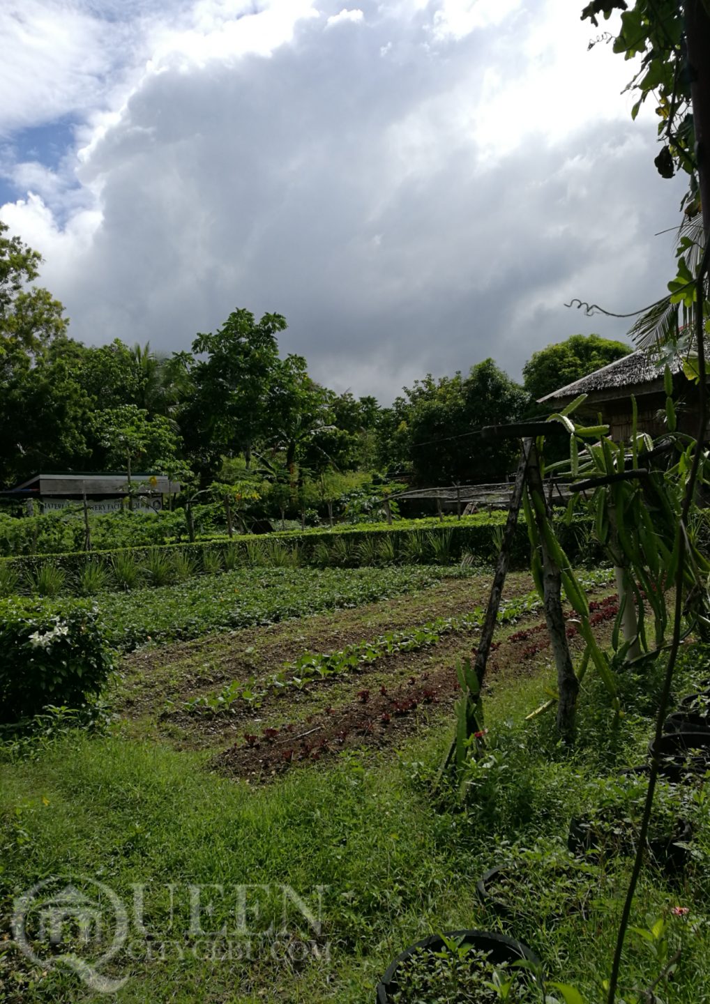 Farmhouse in Aloguinsan 