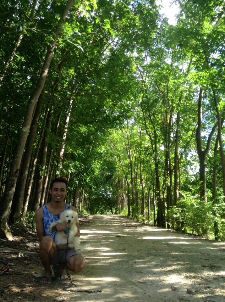 Man Made Forest in Luhod Barili Cebu. Photo by Arjay Calidguid Magallanes