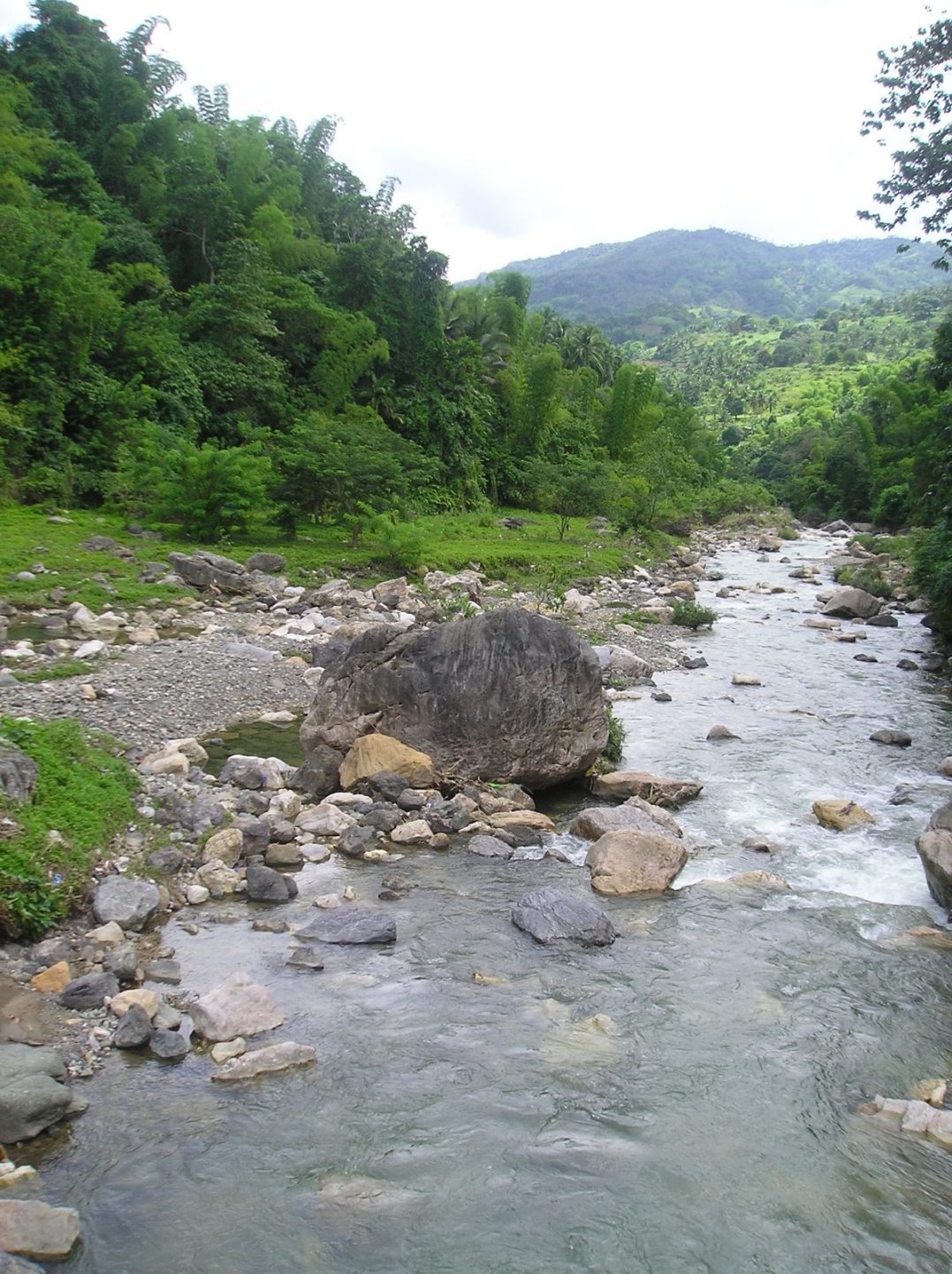 Mananga River Watershed and Forest Reserve. Photo by mcwdenvironmentdivision