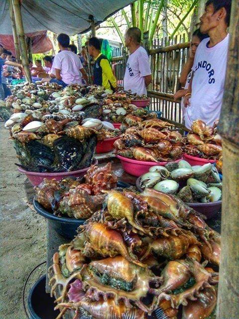 Fresh seafoods from Caohagan Island