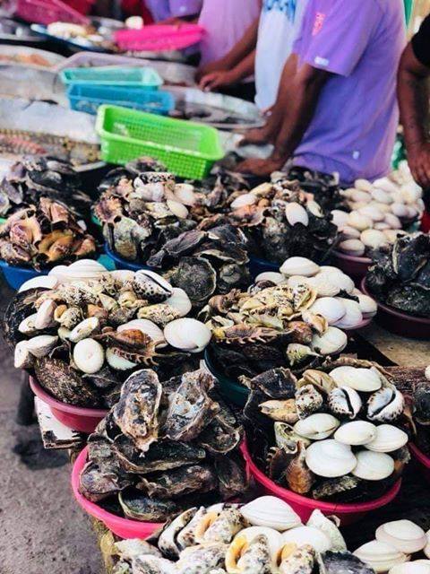 Fresh seafoods from Caohagan Island