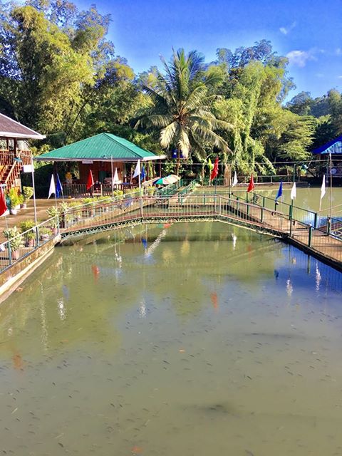 AC Tilapia Fun Fishing & Family Park