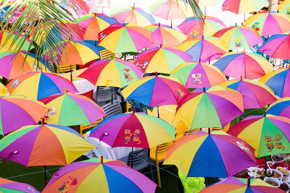 Look at all these cute and colorful umbrellas! 