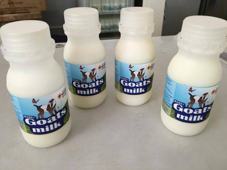 Molave Milk Station in Barili