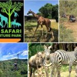Cebu Safari and Adventure Park