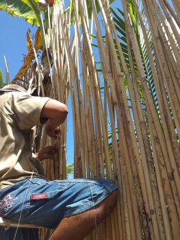 Bantayan Bamboo Innovation Workshop