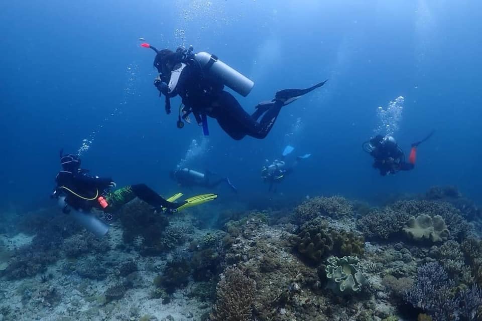 Devocean Divers Malapascua