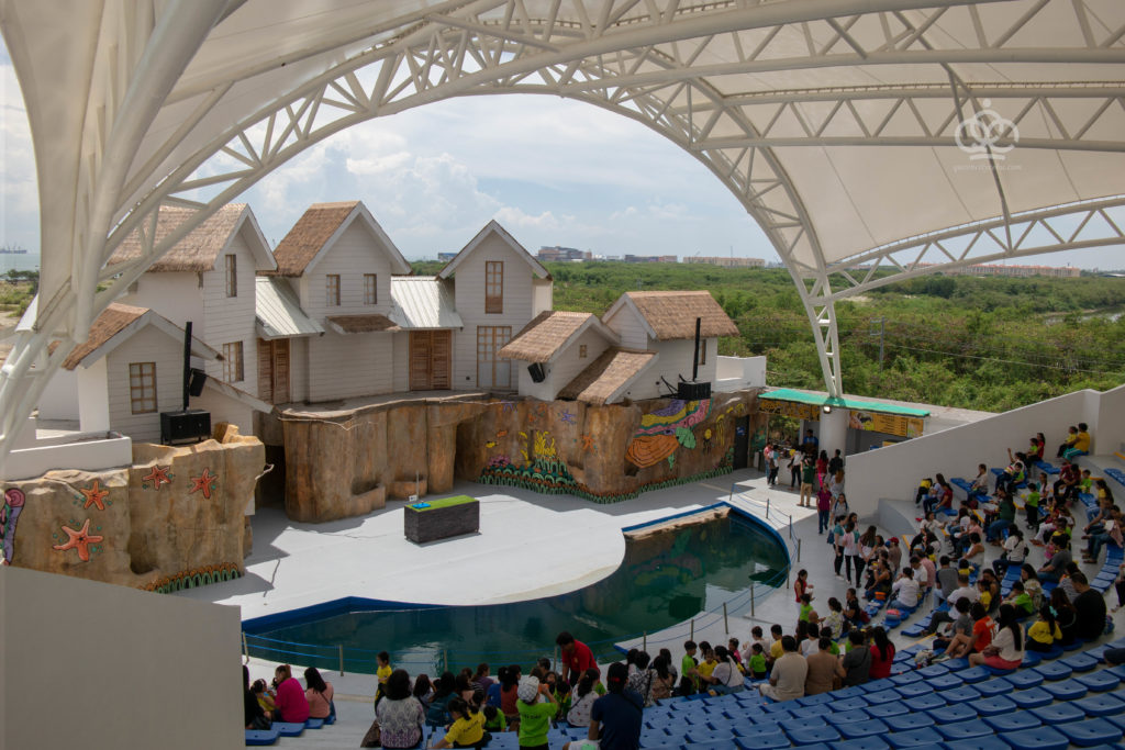 cebu ocean park bird show