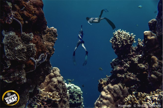 Dive Spots Around The Islands Of Cebu